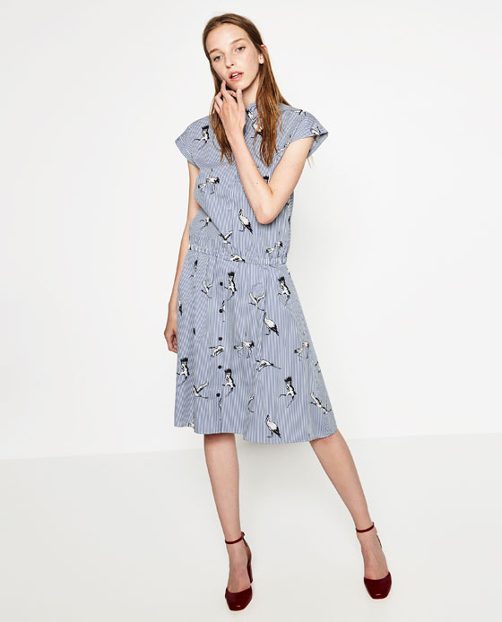 zara-bird-skirt