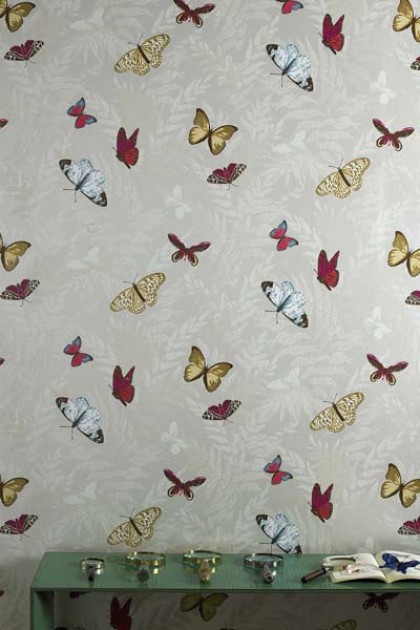 butterfly-wallpaper